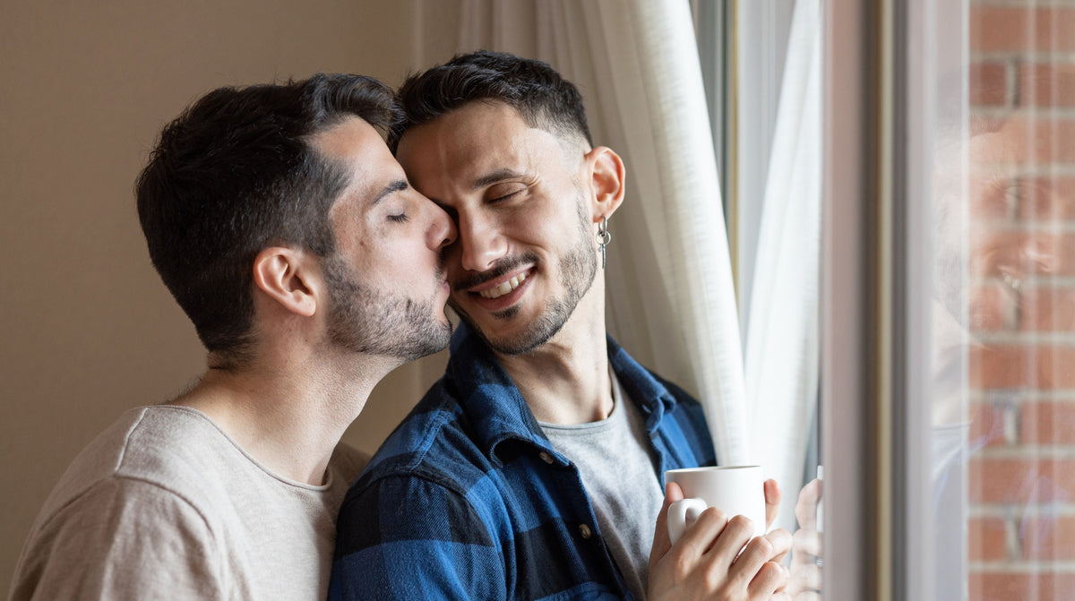 Gay couple in love kissing next to a window